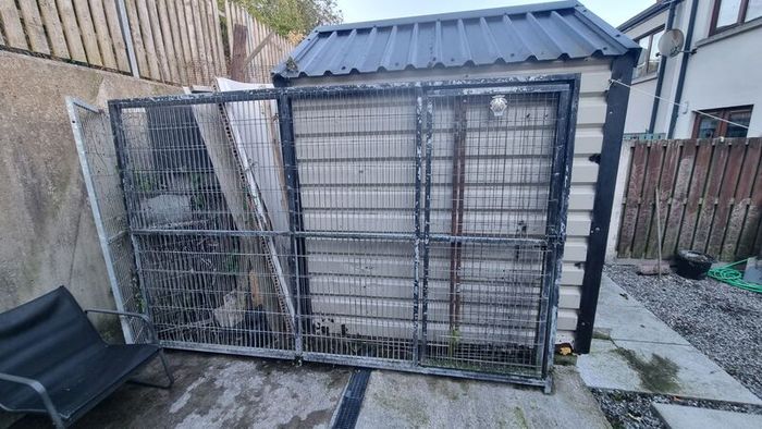 dog pen