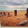 Youghal Image 3