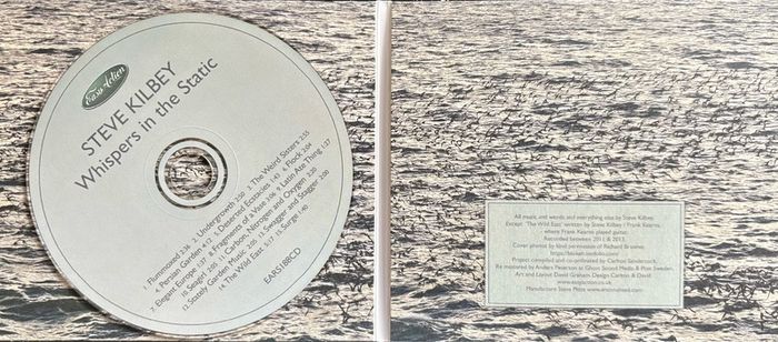 Steve Kilbey (The Church) - Whispers in The Static. Solo album by the acclaimed frontman of legendary Australian band The Church. Like new - played once.