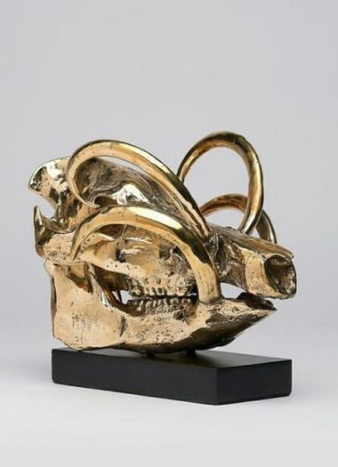Wild Pig Skull (30cm) - Polished Bronze