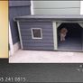 Luxury Dog Kennels Image 5