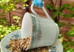 Bird Feeder