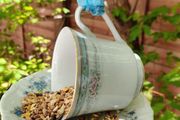 Bird Feeder