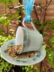 Bird Feeder