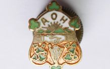 Vintage Irish Ancient Order Of Hibernian Enamel Badge