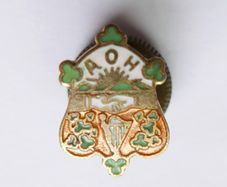 Vintage Irish Ancient Order Of Hibernian Enamel Badge