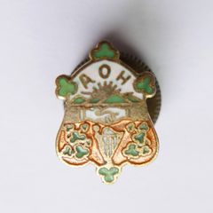 Vintage Irish Ancient Order Of Hibernian Enamel Badge