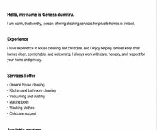 cleaning  service