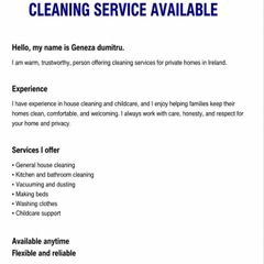 cleaning  service