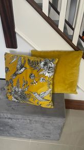 Pair Of Velvet Cushions