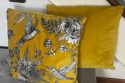 Pair Of Velvet Cushions