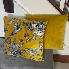Pair Of Velvet Cushions