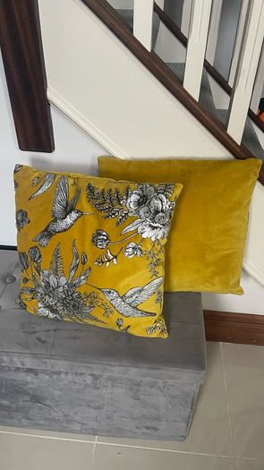 Pair Of Velvet Cushions