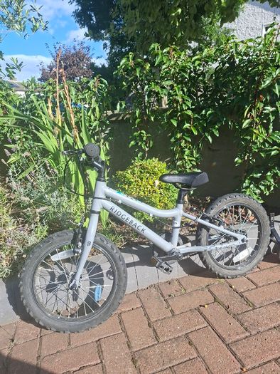 Ridgeback Mx16