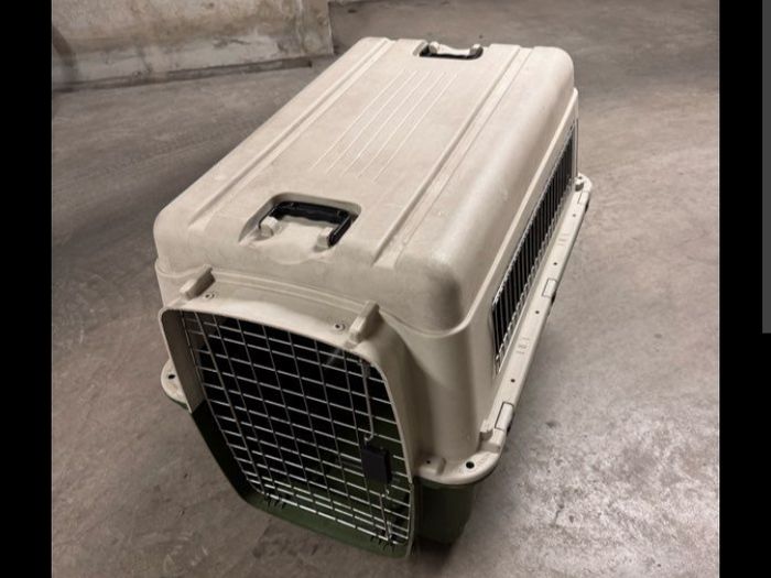 pet carrier
