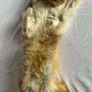 Vintage Red Fox Pelt Full Fur - 100cm - Taxidermy Throw - Excellent Condition Image 4