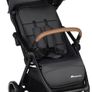stroller Image 2