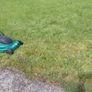 Lawnmower Electric in perfect order Image 6