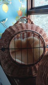 Large pet bed / carrier, 2 in 1, wicker+ sheepskin