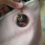 Authentic Gucci Bag Image 5