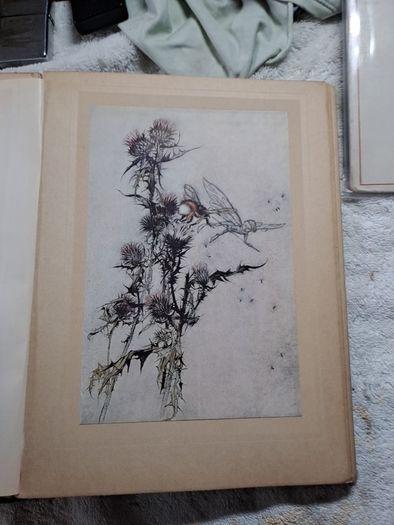 Vintage Rachman prints