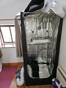 Indoor darkroom grow tent