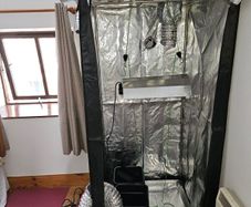 Indoor darkroom grow tent