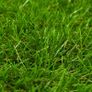 Artificial Grass 1x15 m/40 mm Image 2