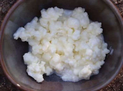 Kefir Grains
