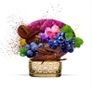 Grape Pearls by The House of Oud Image 2