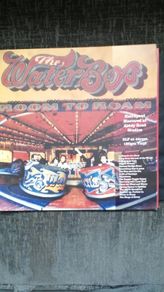 The waterboys room to roam vinyl lp
