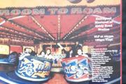 The waterboys room to roam vinyl lp