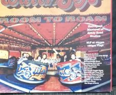 The waterboys room to roam vinyl lp