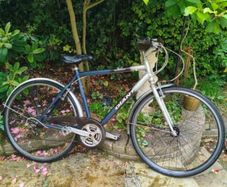 Giant Expression Hybrid Bicycle, fully working, Size Large