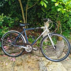 Giant Expression Hybrid Bicycle, fully working, Size Large
