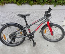 Trek Wahoo 20 inch Kids Bicycle