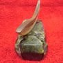 Connemara Marble / Irish Horn - Fish By Gerard Image 4