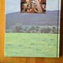 Archdiocese Of Armagh. A History By Monsignor Raymond Murray. Large Volume Book With Dustjacket In Very Good Condition. Image 5