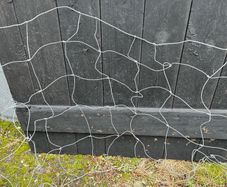 sheep wire