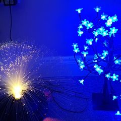 selection of lights