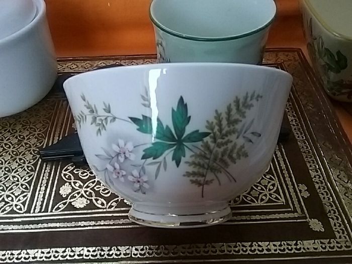 Collection of Various Bowls