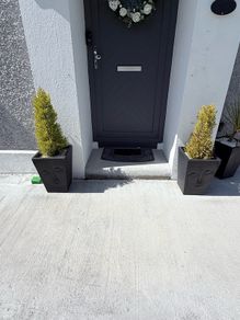 Buddha  Plant Pots x 2 with plants