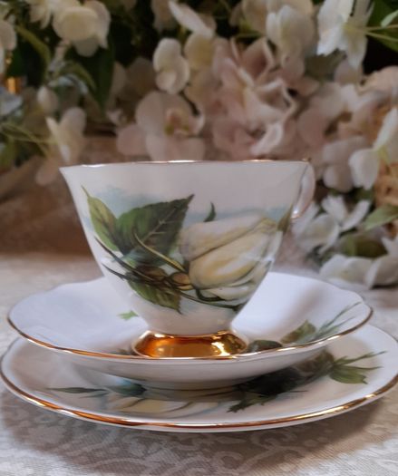 Vintage  Paragon "Six World Famous Rose" tea trios