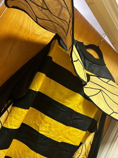 Bee fancy dress costume size 2XL about size 18