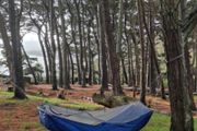 Hammock