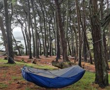 Hammock