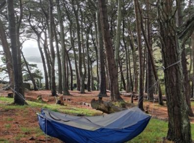 Hammock