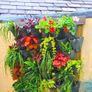 Vertical Garden Image 9