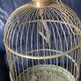 Antiques and collectables Image 2