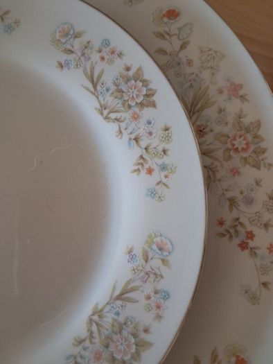 Vintage Budlet Fine China 21-Piece Tea Set